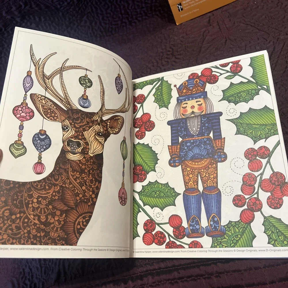Lot Of 2 Adult Coloring Books Creative Coloring Through Season & Exotic Chickens
